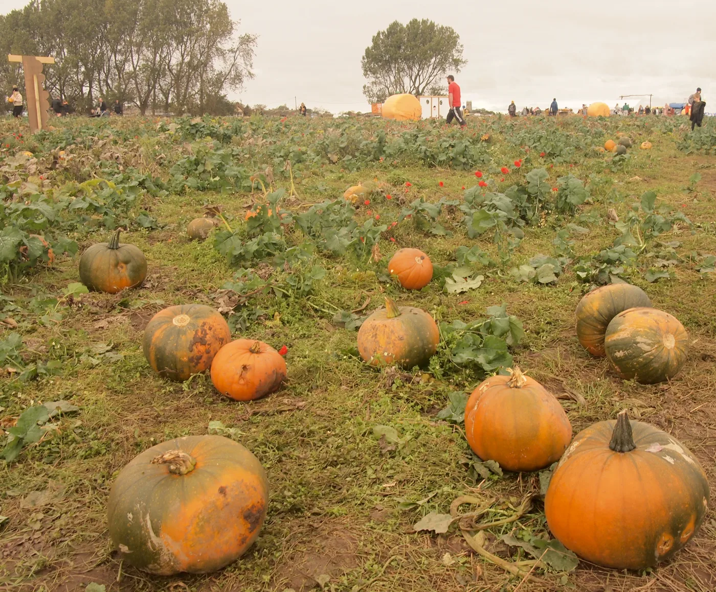Chester Halloween 2026: Ghost Walk, Pumpkins, Fireworks